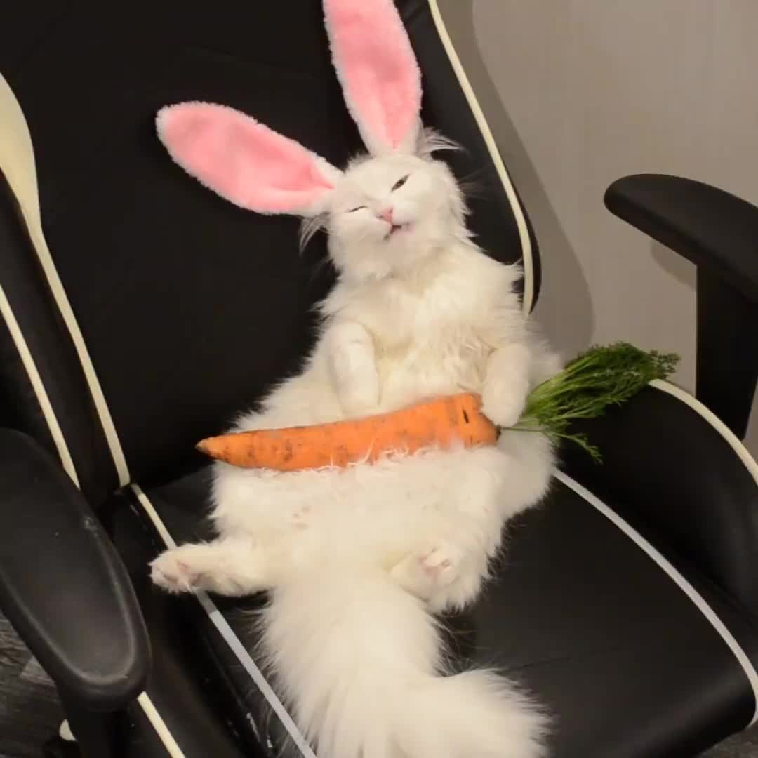 Змея в вязаной шапочке