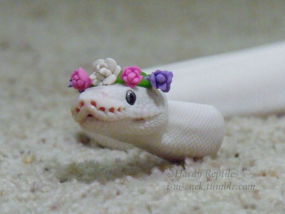 Змея с бантиком