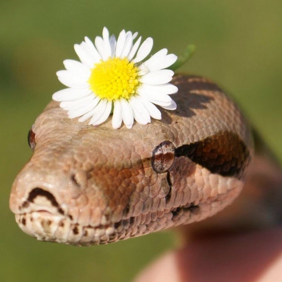 Это я пытаюсь быть милой