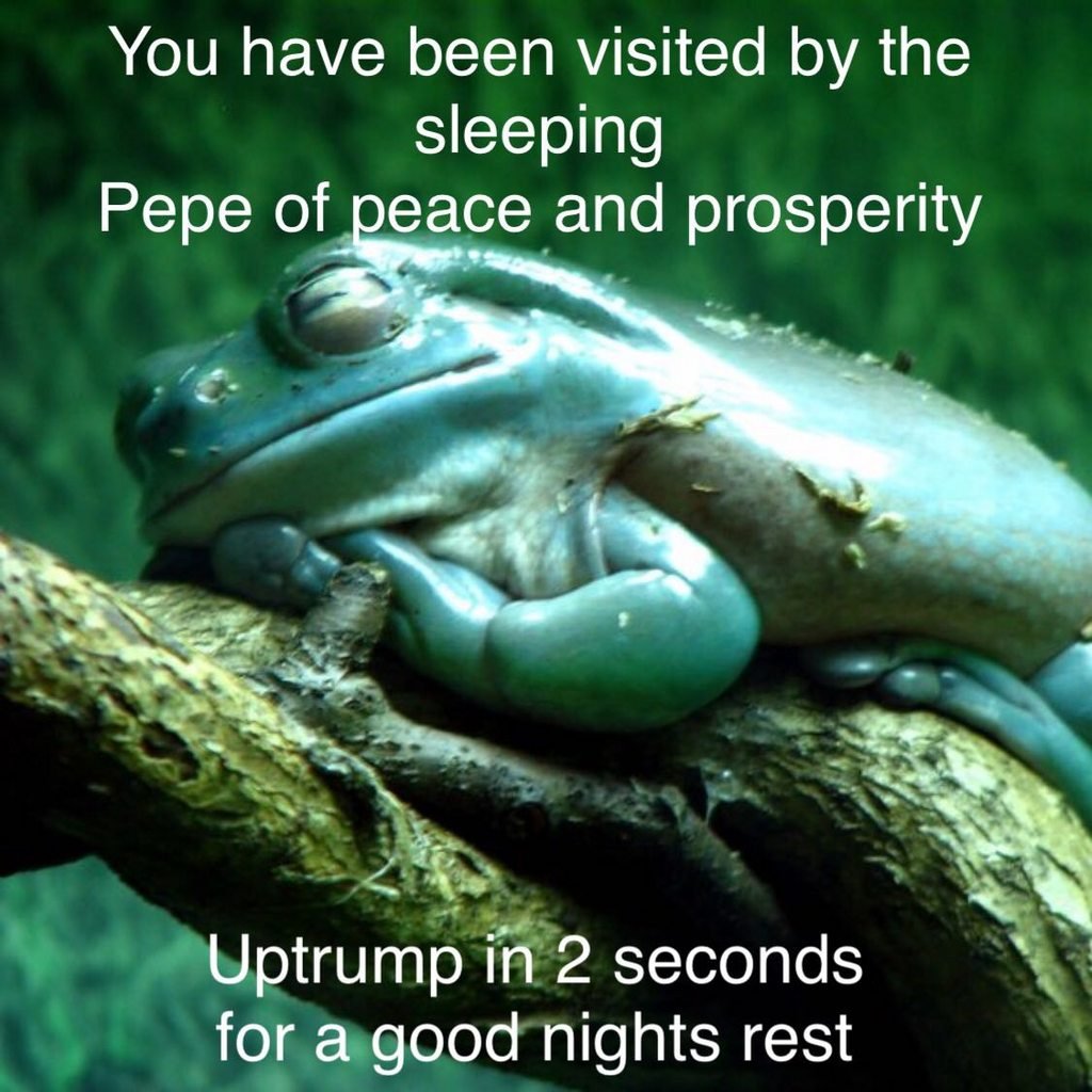 Сонная лягушка