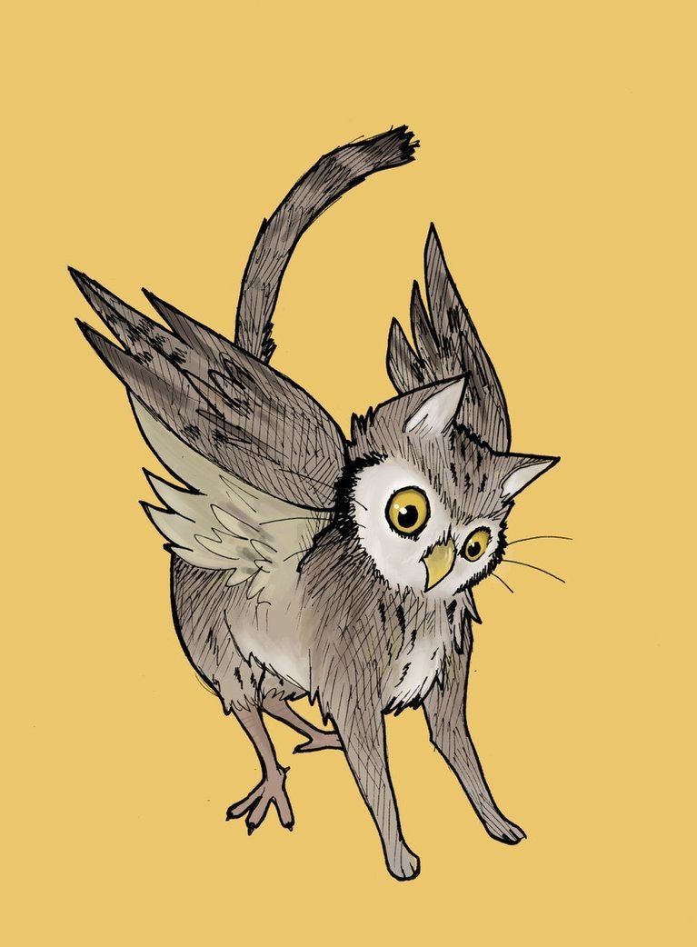 Сова кот арт