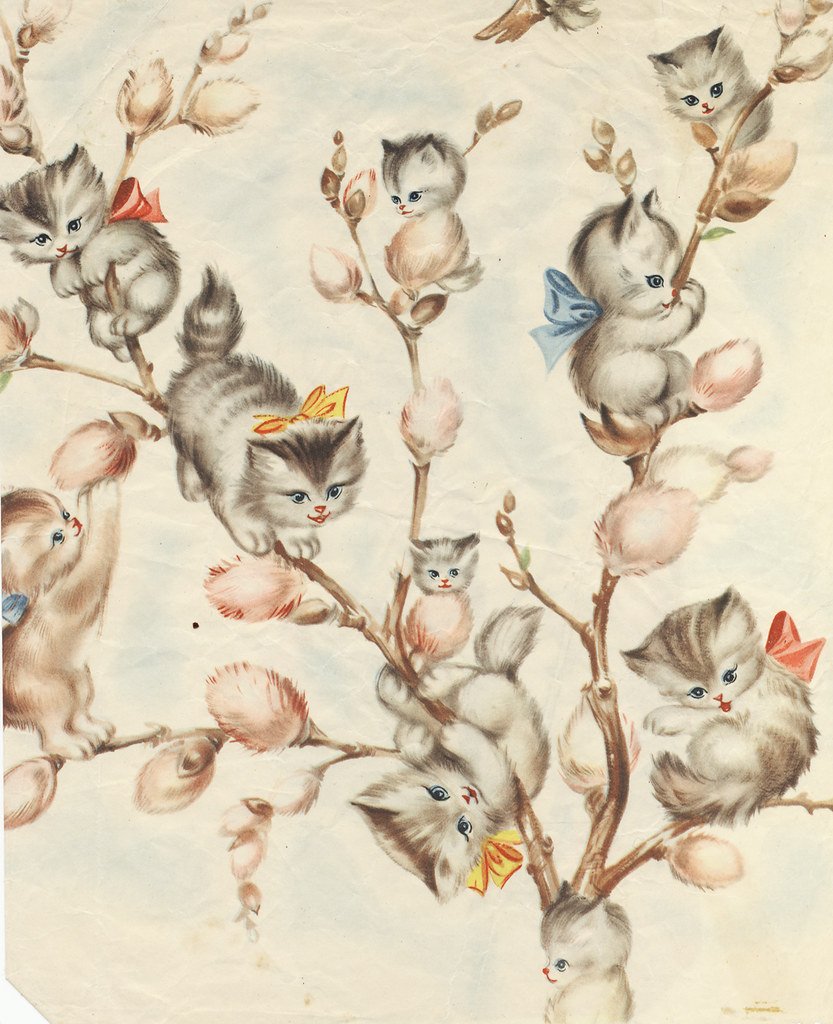 Верба и кошка