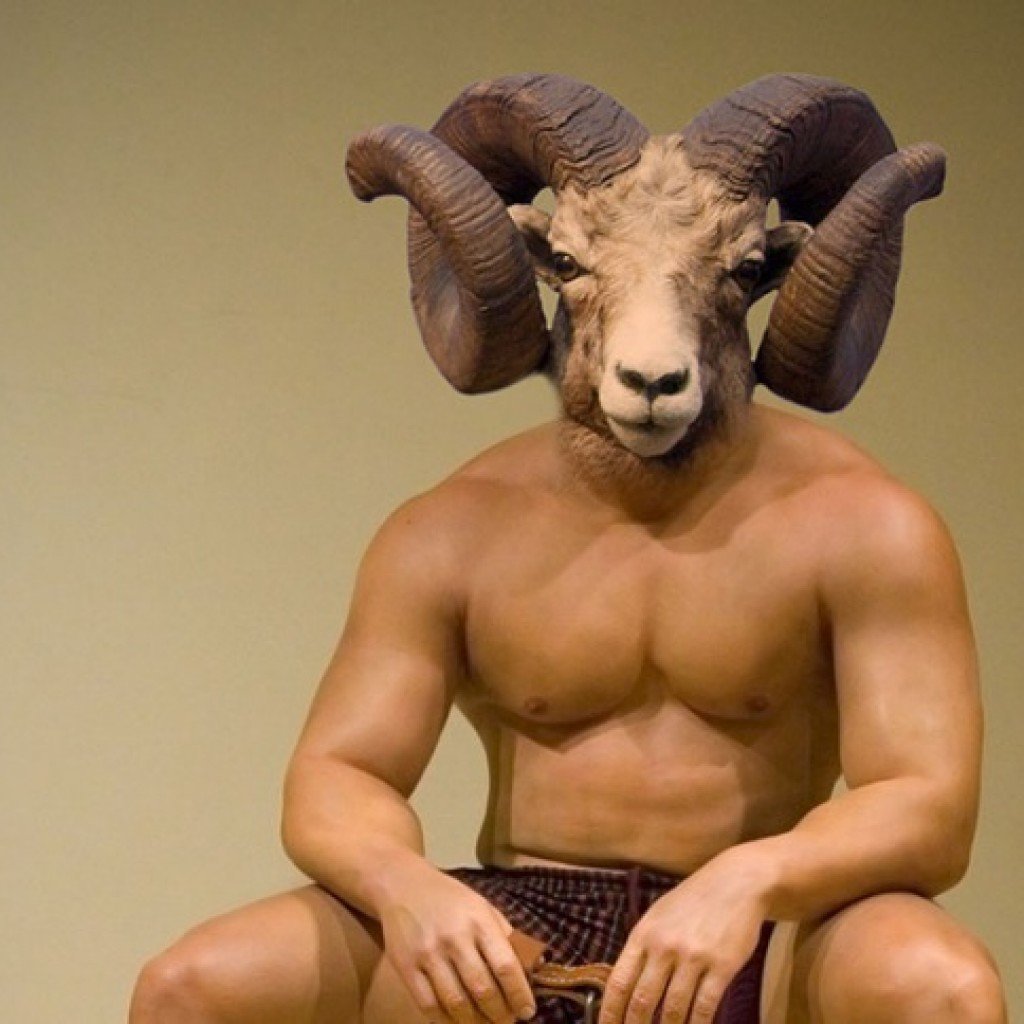 Наивная овца