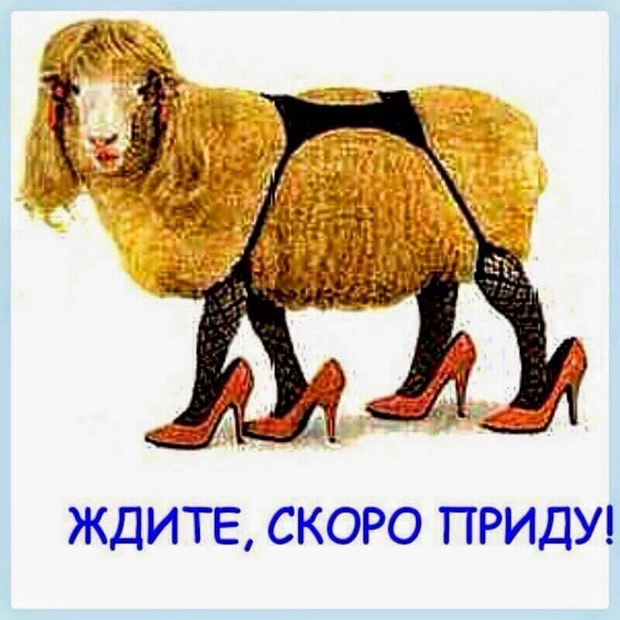 Значение слова чувчувака