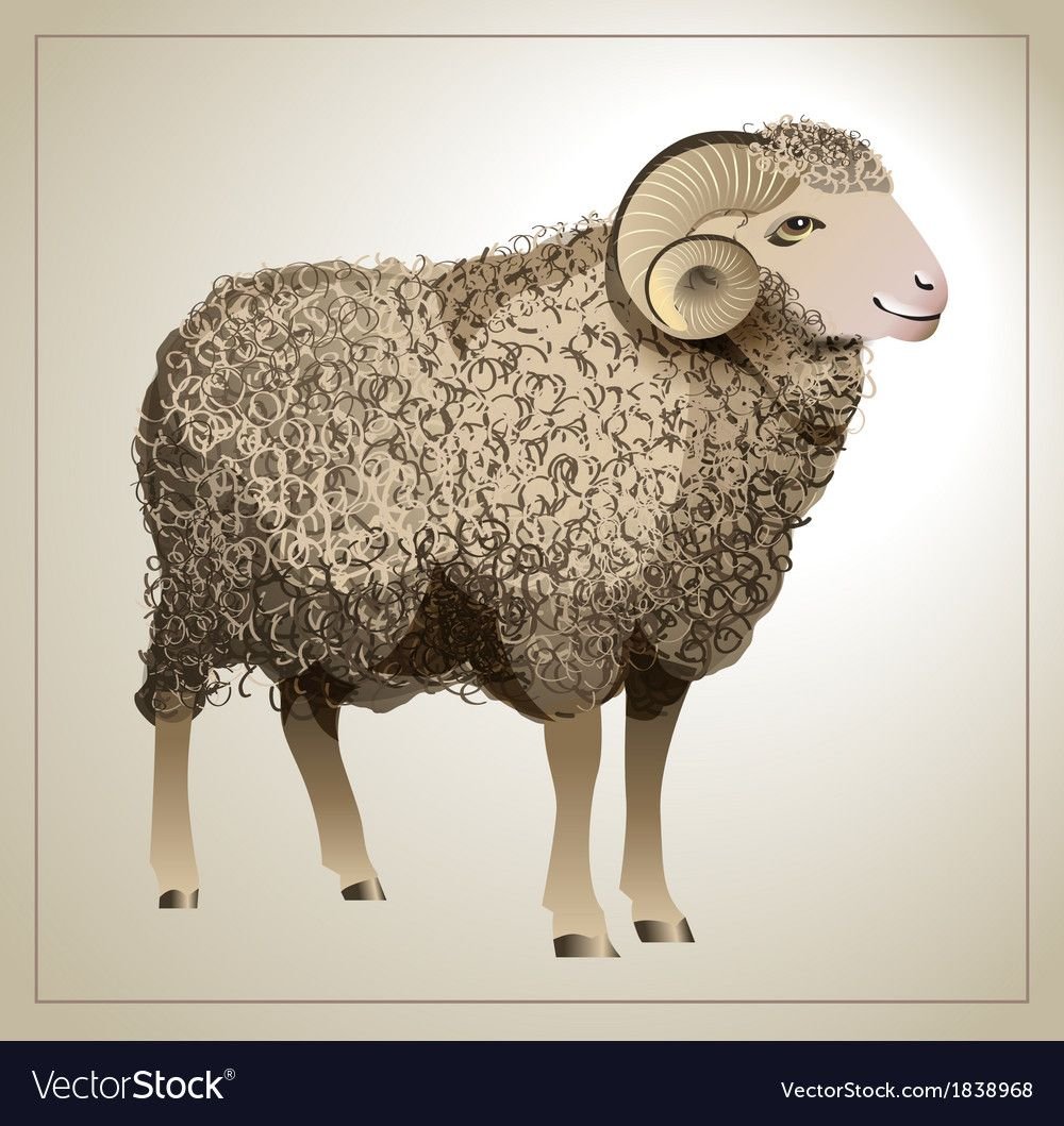 Мелкий рогатый скот