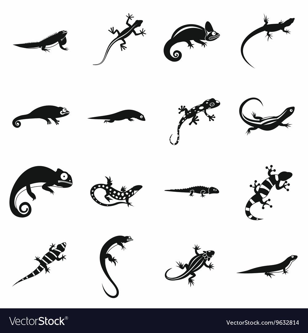 Тбилиси ящерицы