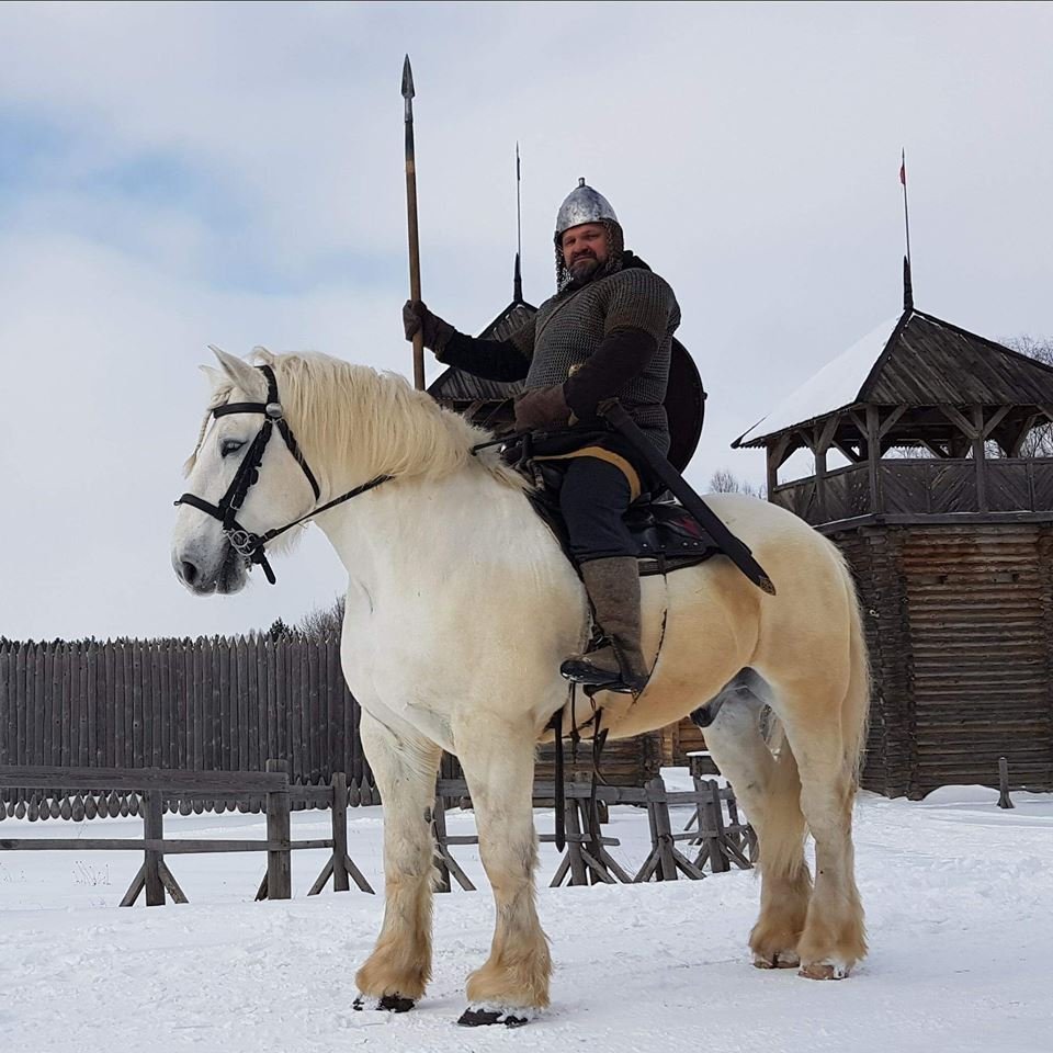 Лошадь тяжеловоз Першерон