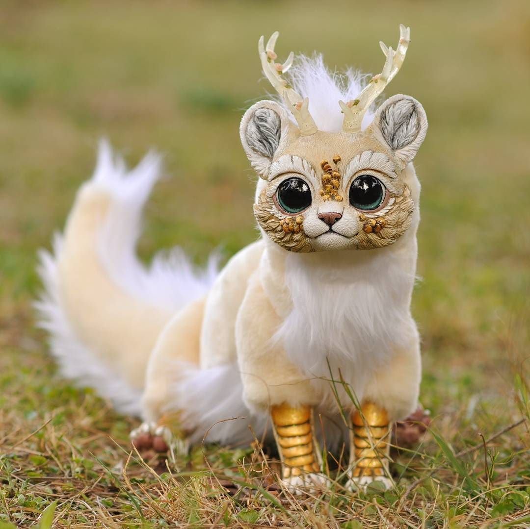 Манчкин кот