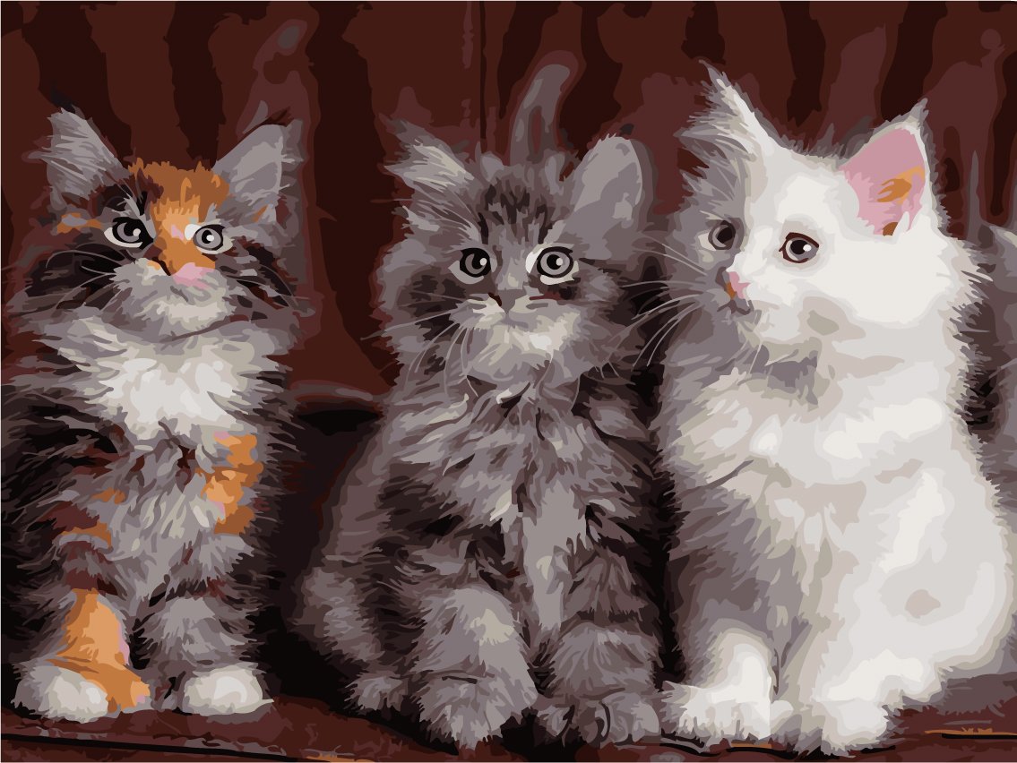 Охос азулес длинношерстный