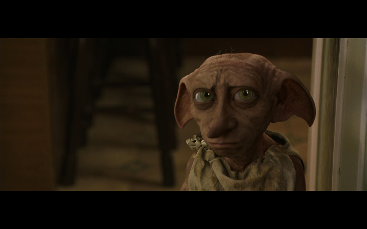 Ориентальный кот грузин