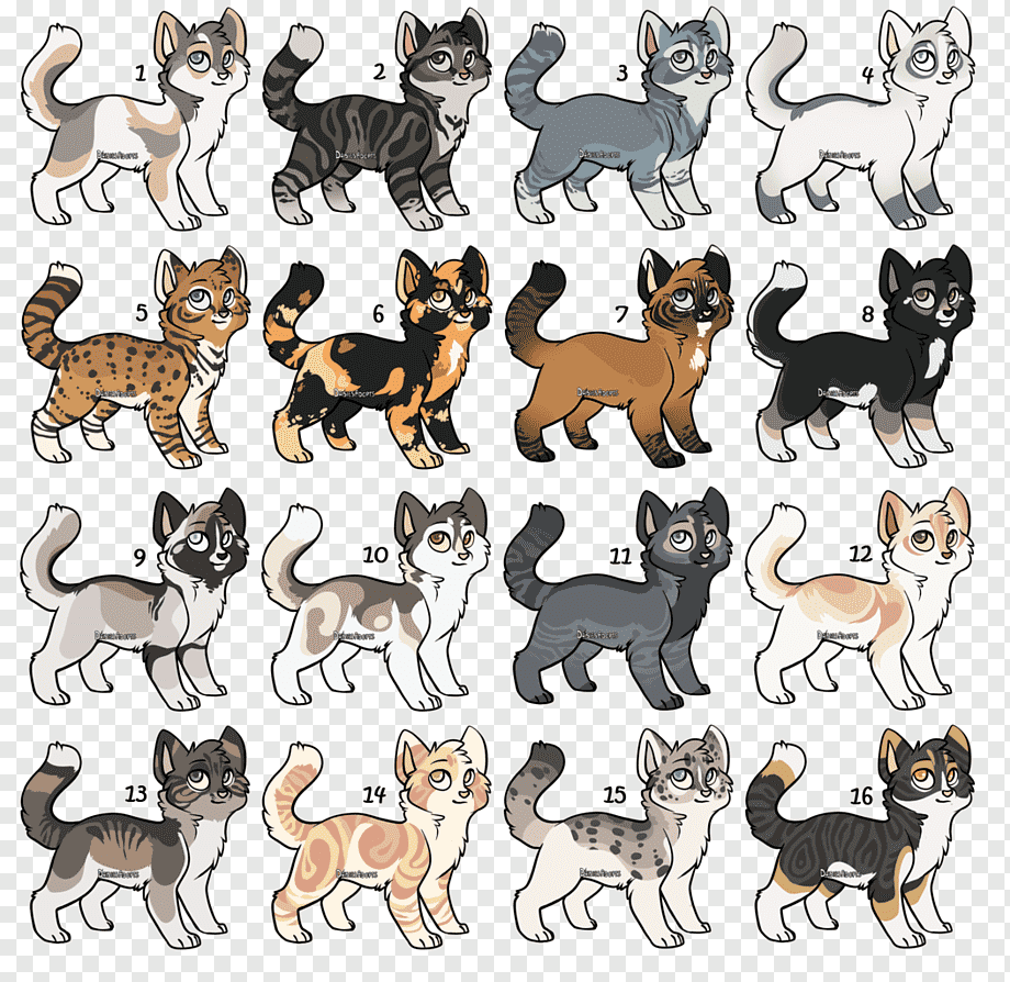 Окрасы котов