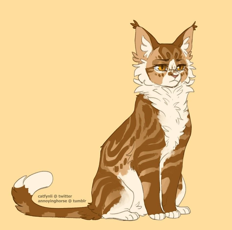 Кошка Ориентал Гавана