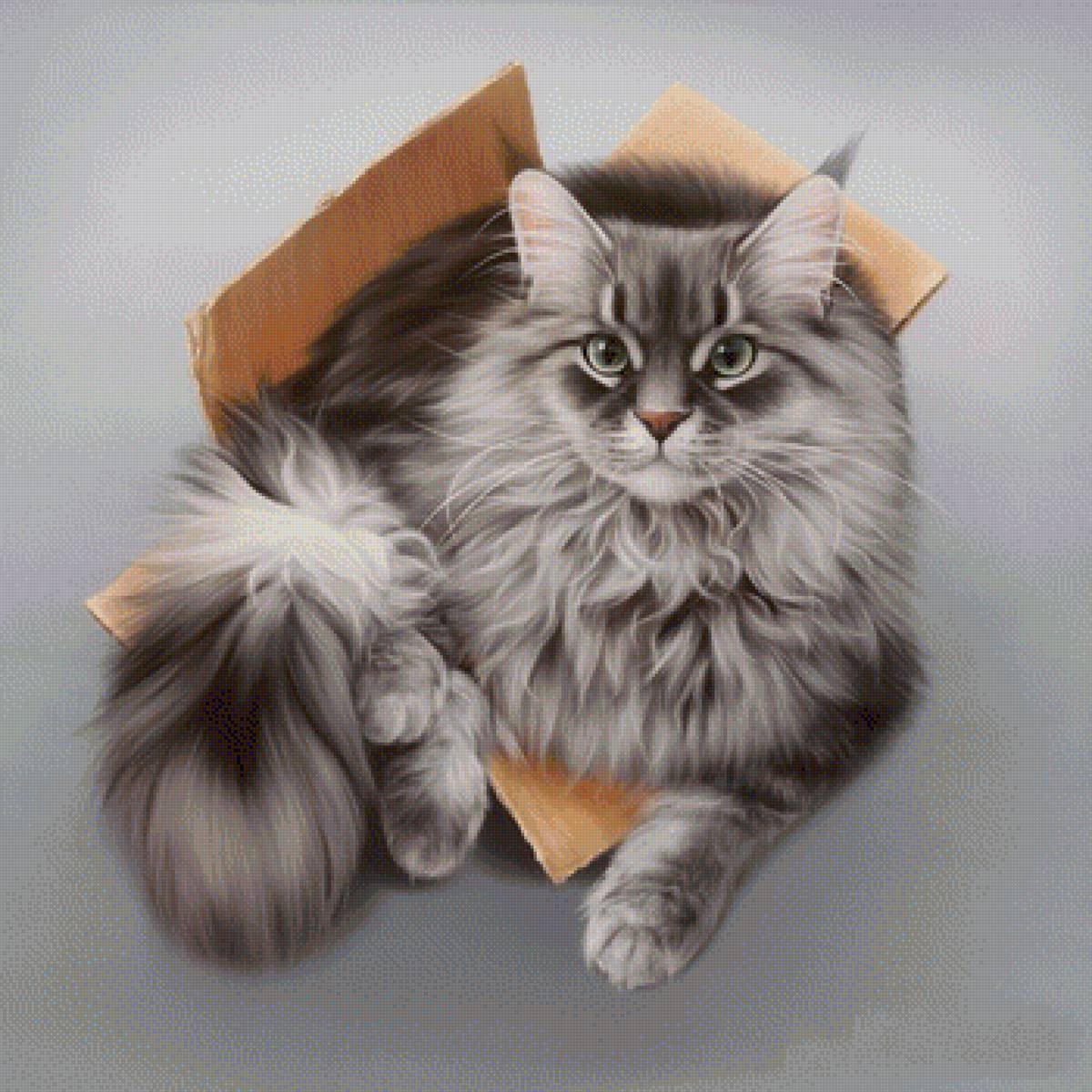 Кошка пушистая Мейн кун