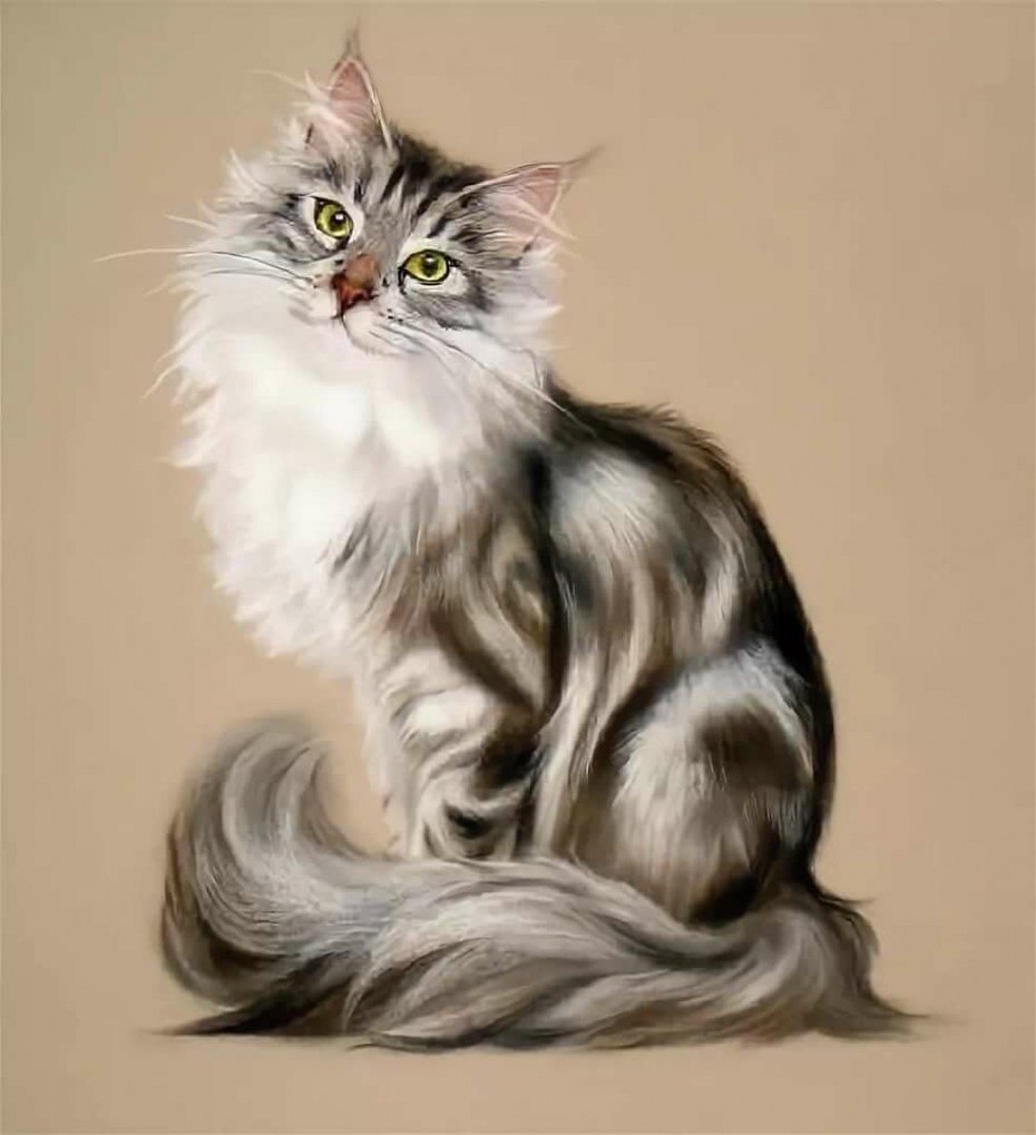 Пушистый кот арт