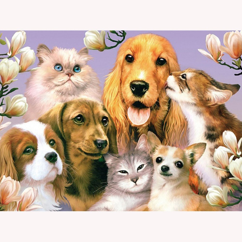 Много домашних животных