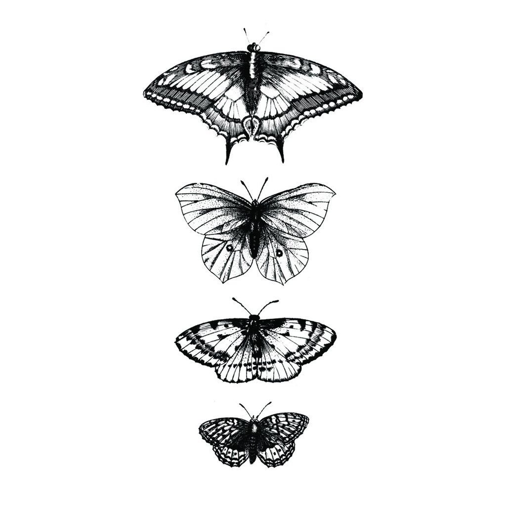 Мотылек тату эскиз