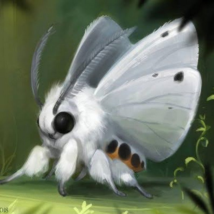 Тутовый шелкопряд аниме