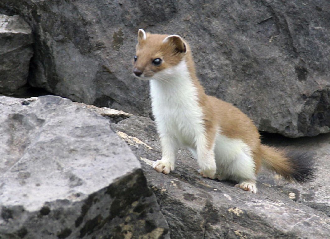 Баргузинский биосферный заповедник