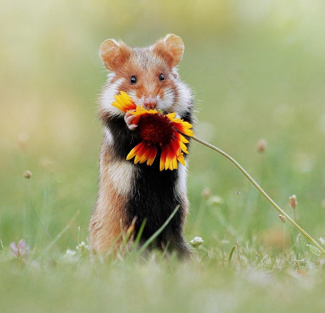 Julian rad фотограф