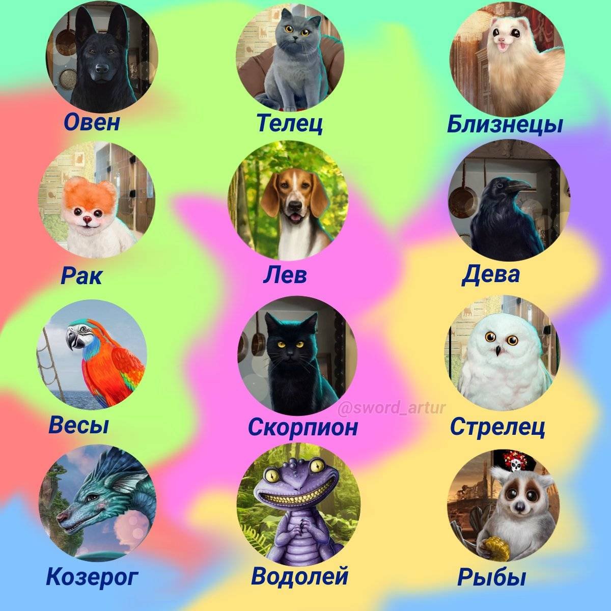 Нин Гуан карпы кои