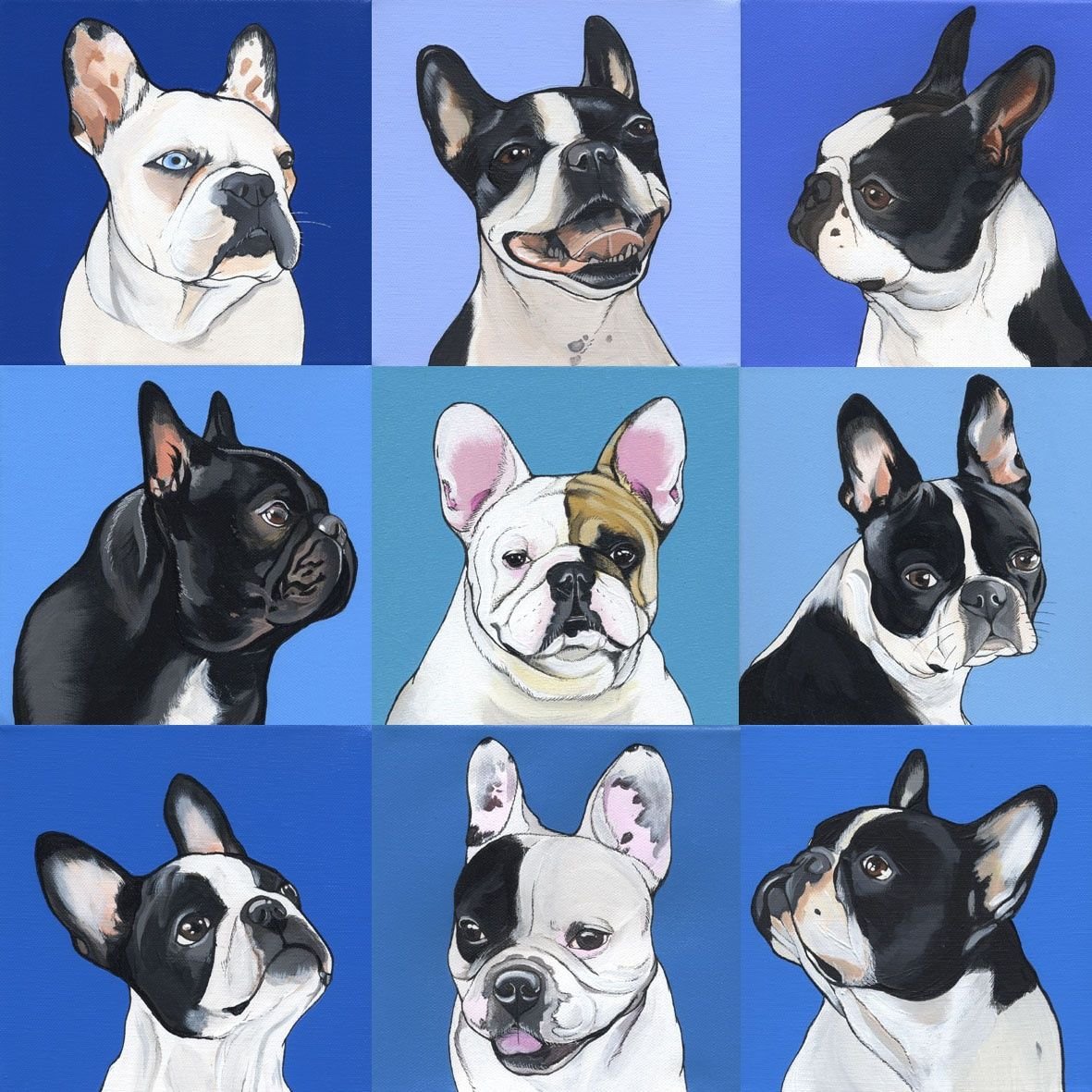 Французский бульдог белый с черными пятнами