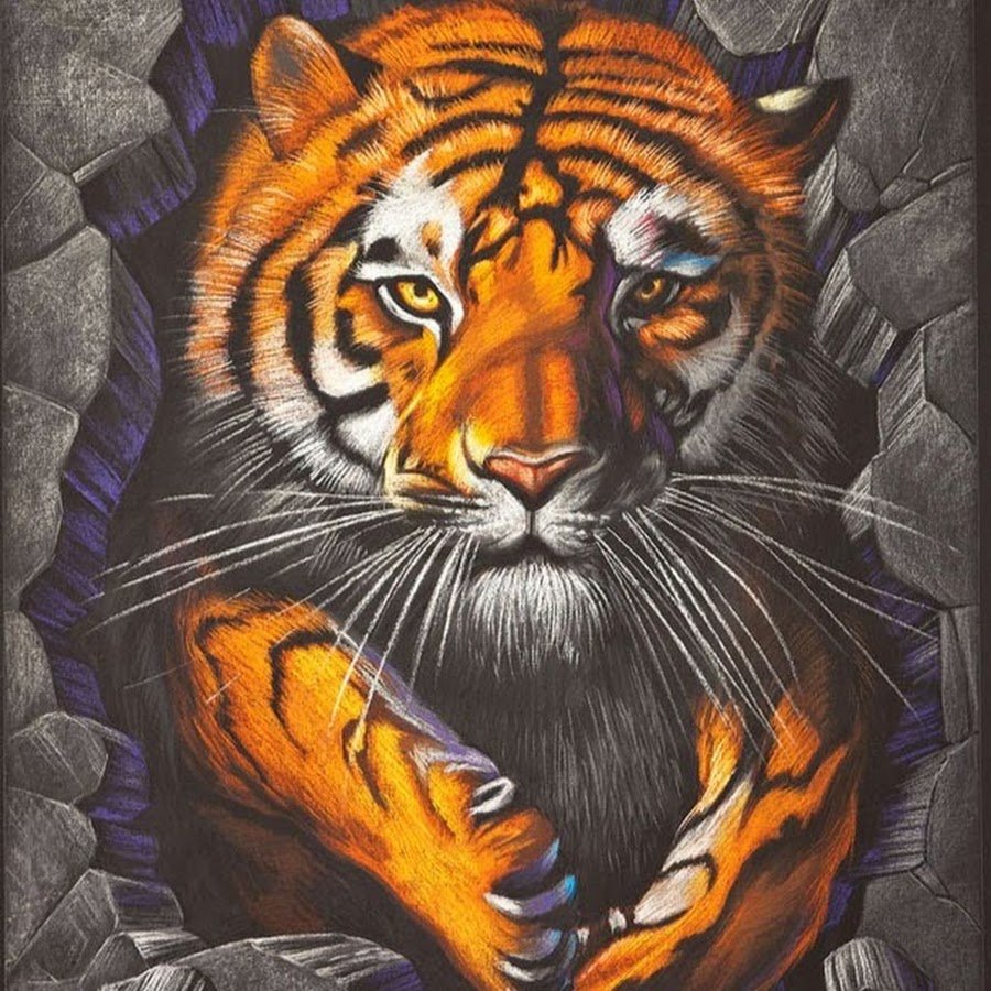 Тигр на улице