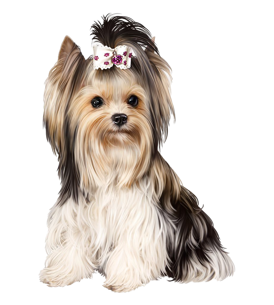 Йоркширский терьер