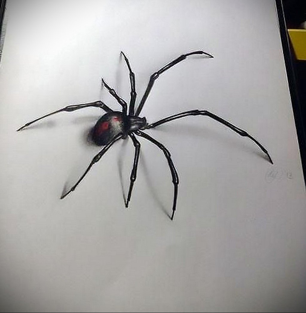 Эскиз тату паук черная вдова