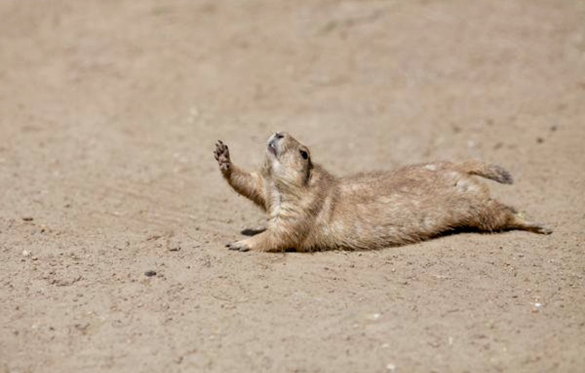 Ползти к цели