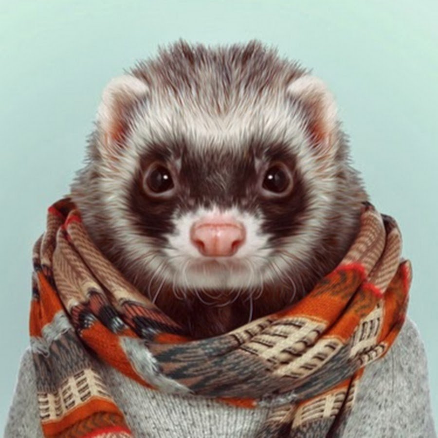 Вышивка хорек