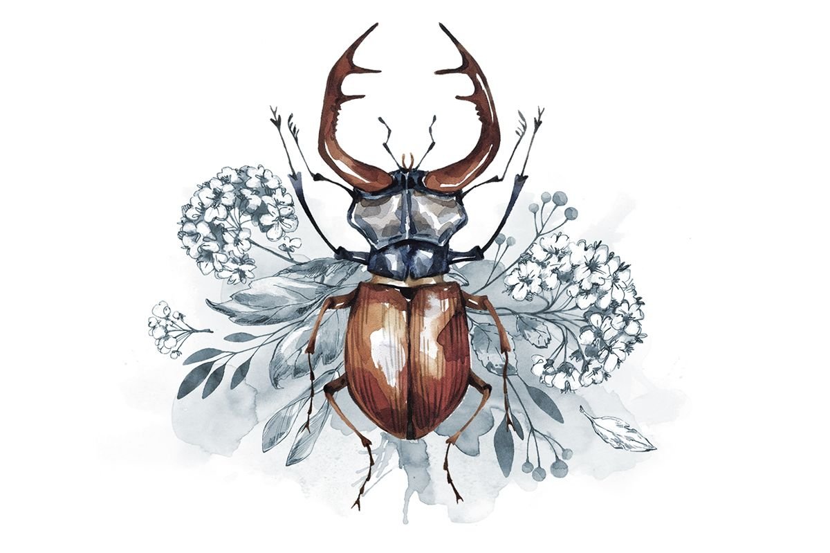 Стилизация жука