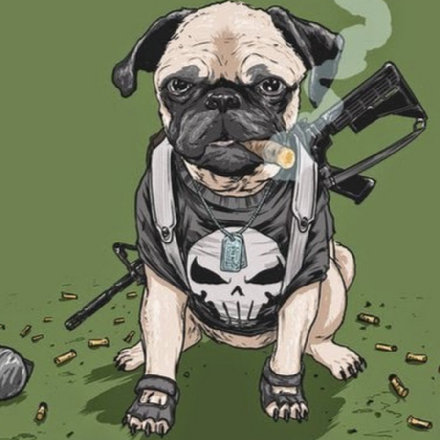 Боевой Мопс