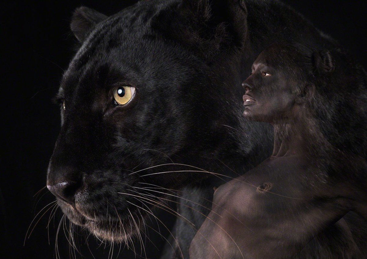 Человек пантера