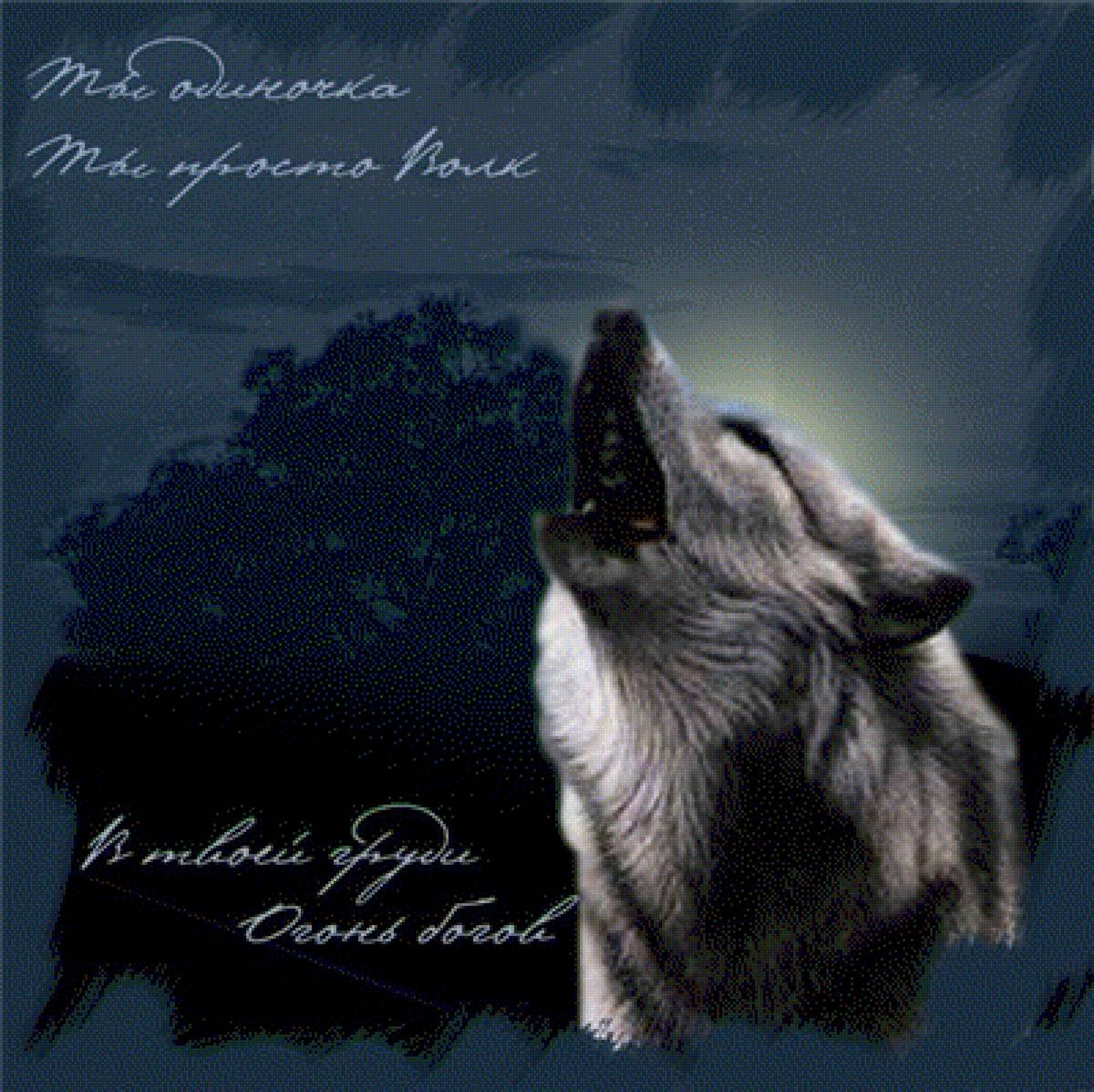 Открытка с волком с днем рождения