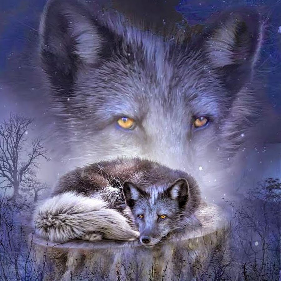 Кэрол Каваларис картины волки