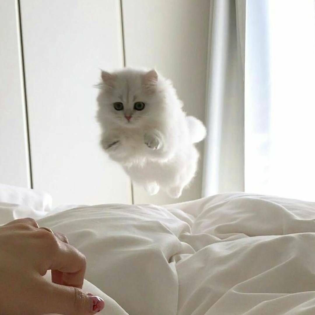 Сохры самые милые