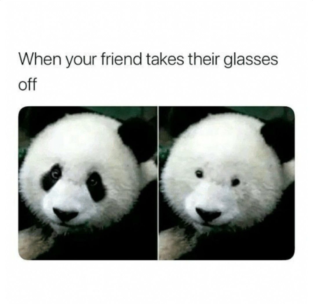 Панда без косметики