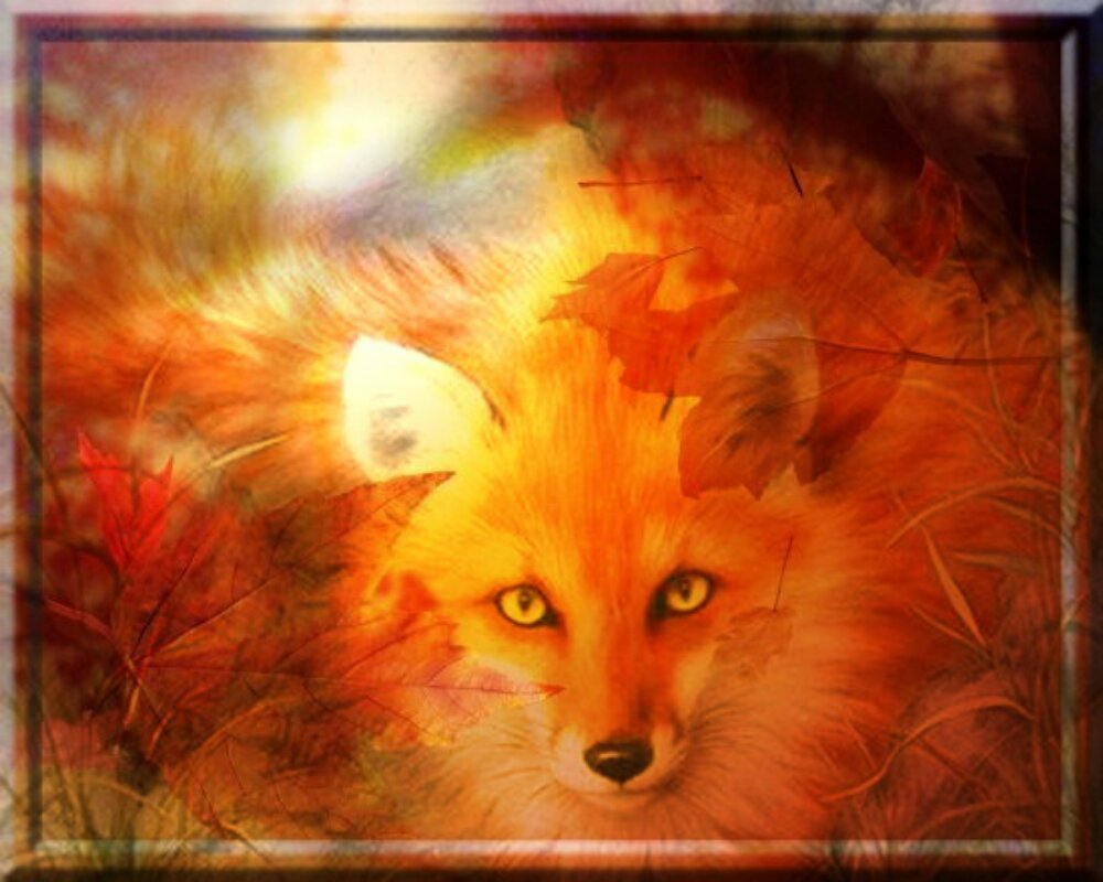 Лисица осень