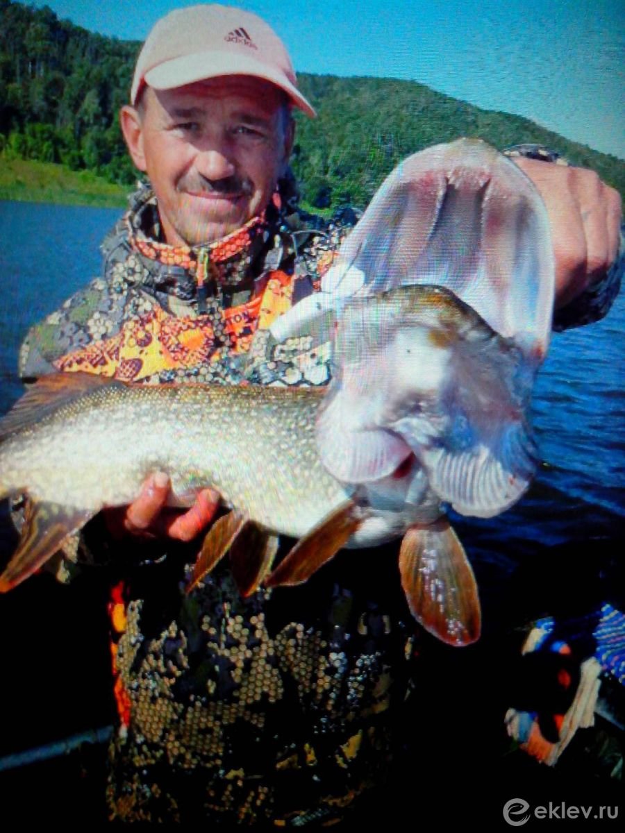 Пресноводные рыбы Краснодарского края