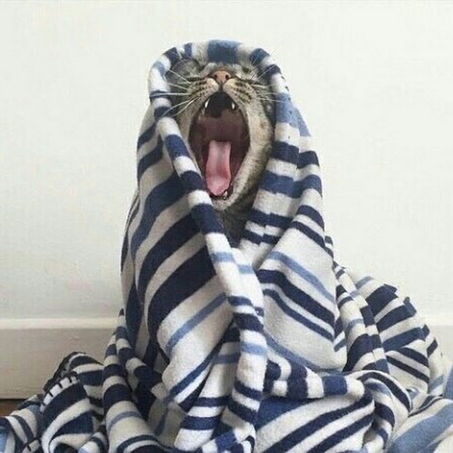 Смешное одеяло