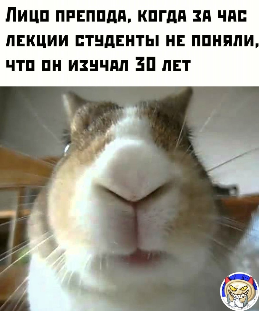 Хомячок с набитыми щеками