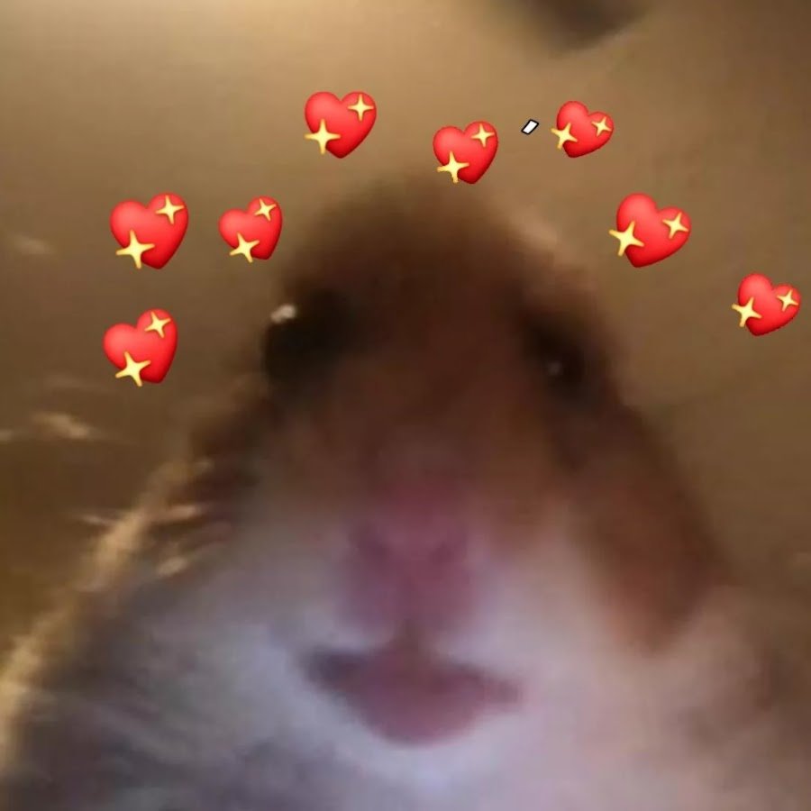 Хомяк Плаксик