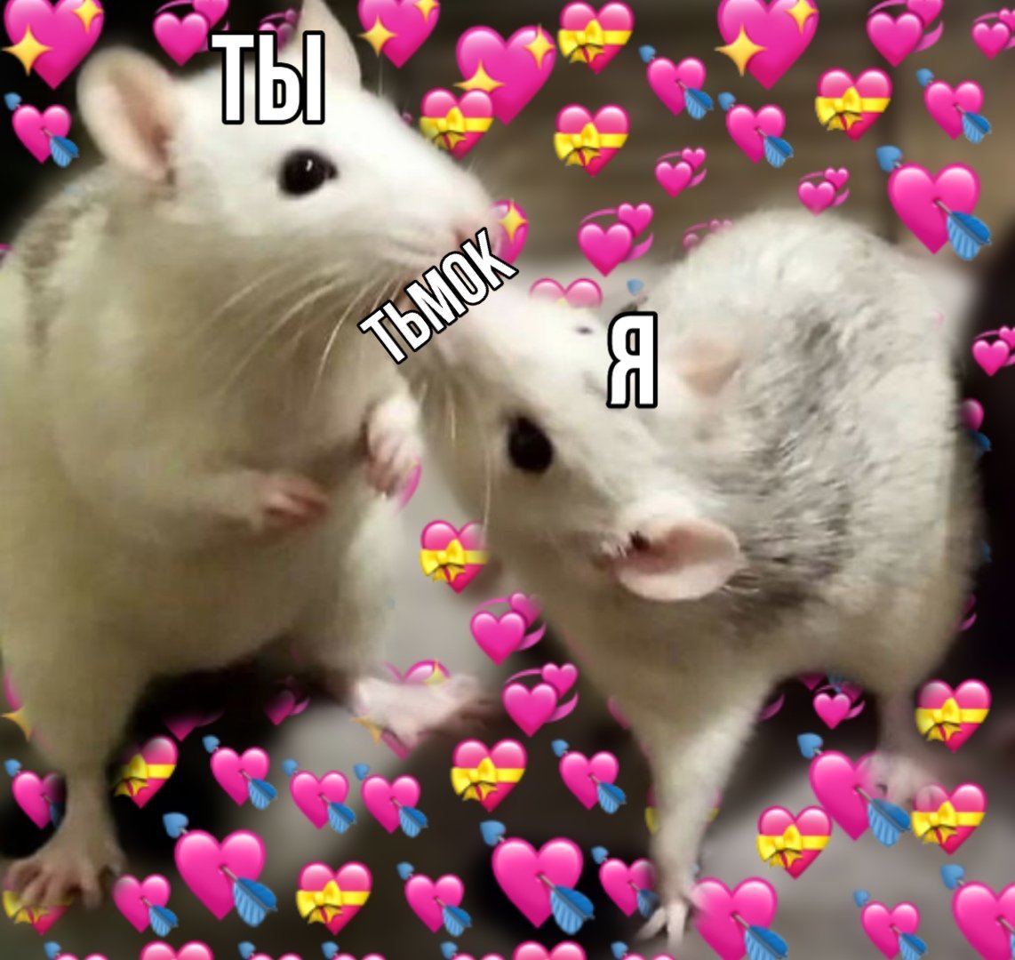 Умный хомяк