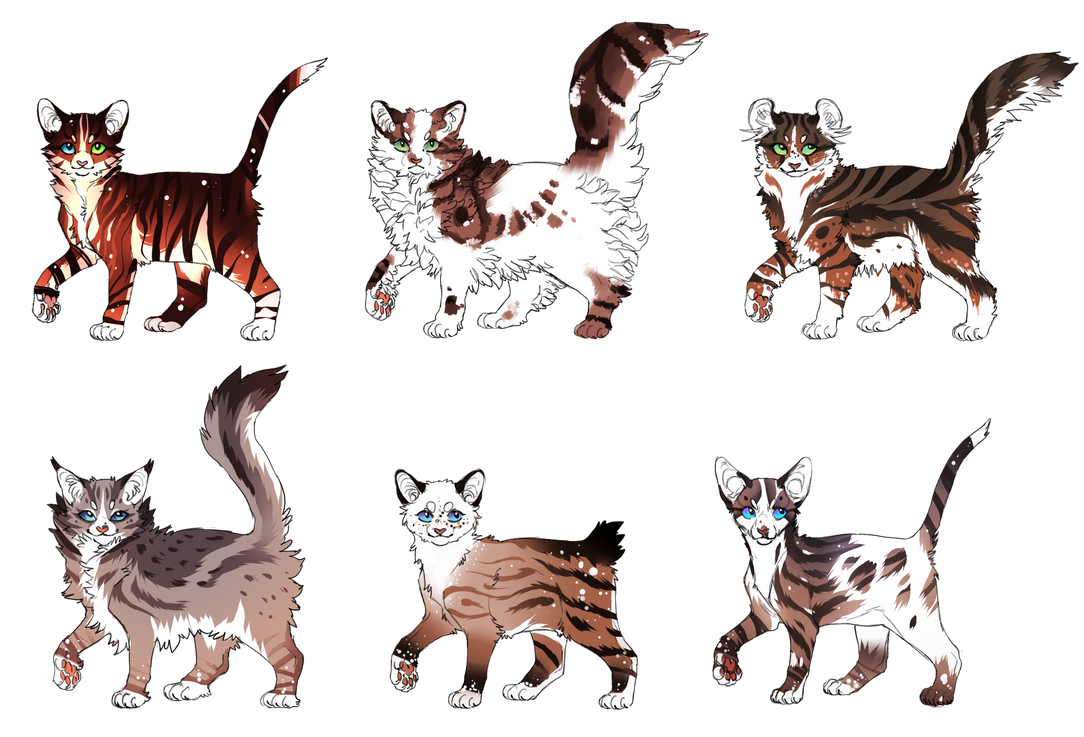 Британская Сильвер табби