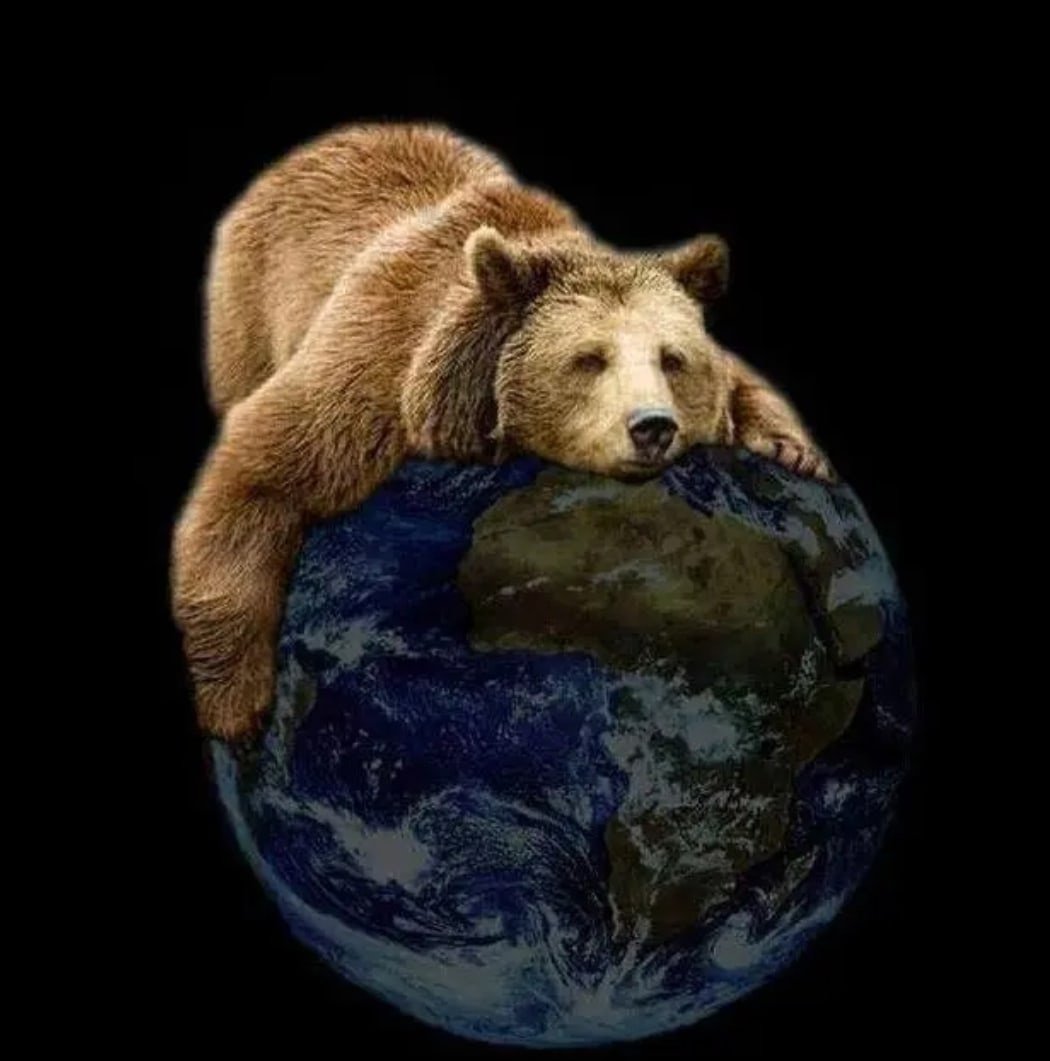 Животные на земном шаре. Медведь арт. Медведь Россия. Тотемный медведь. Медведь Тотем России.