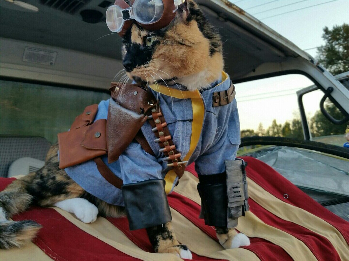 Кот автослесарь