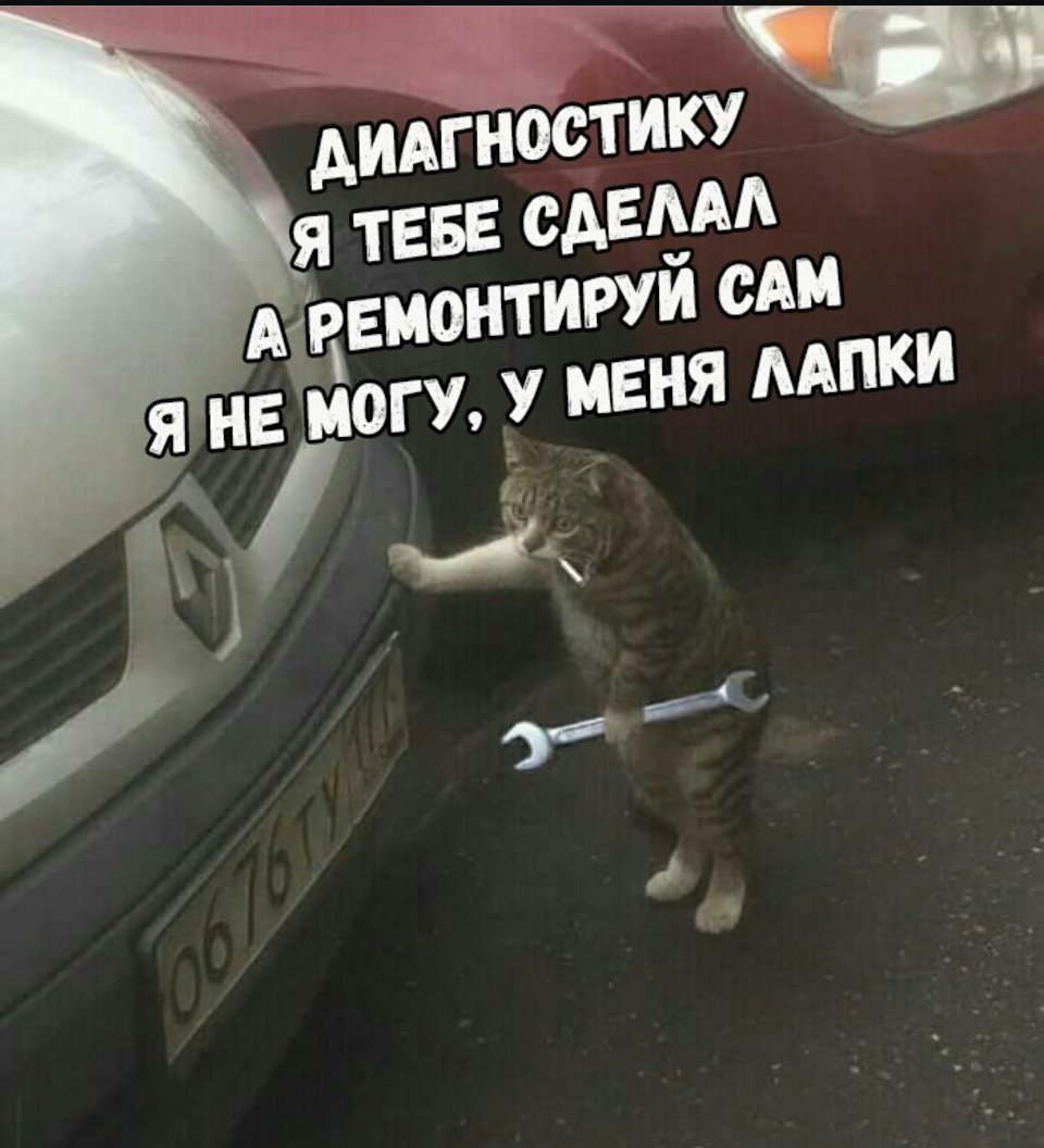 Кот с гаечным ключом