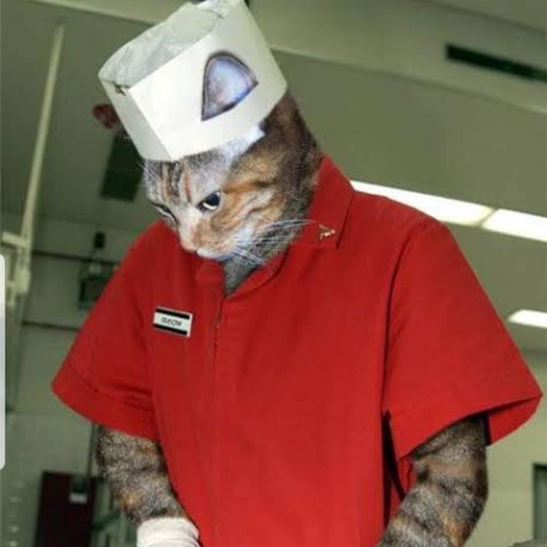 Кот в поварском колпаке