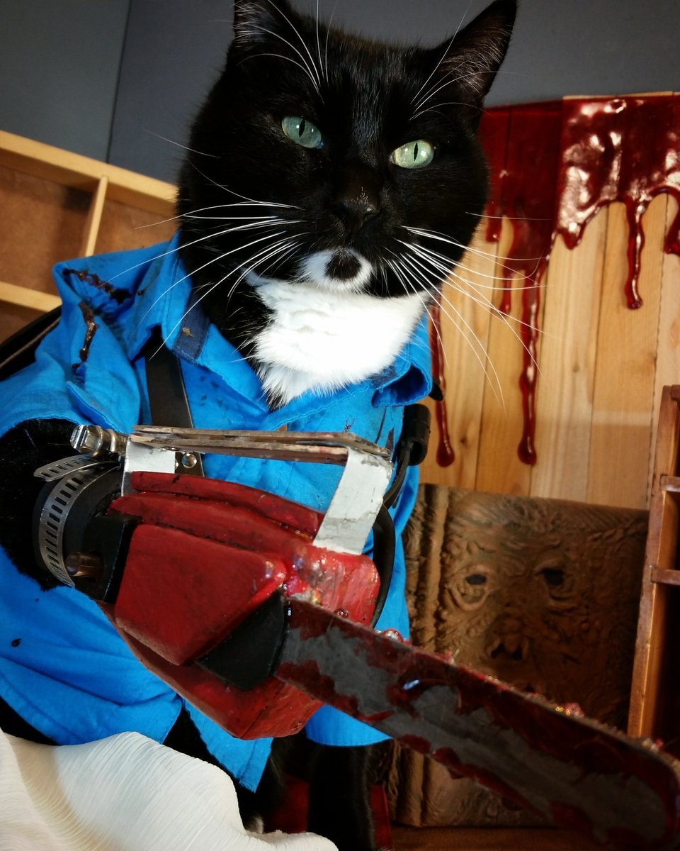 Кот с бензопилой