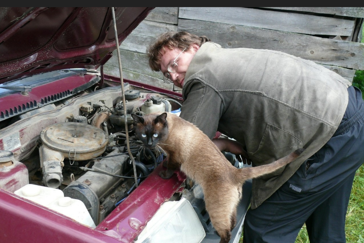Кот чинит машину